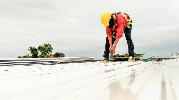 Best Skylights  in Princeville, HI