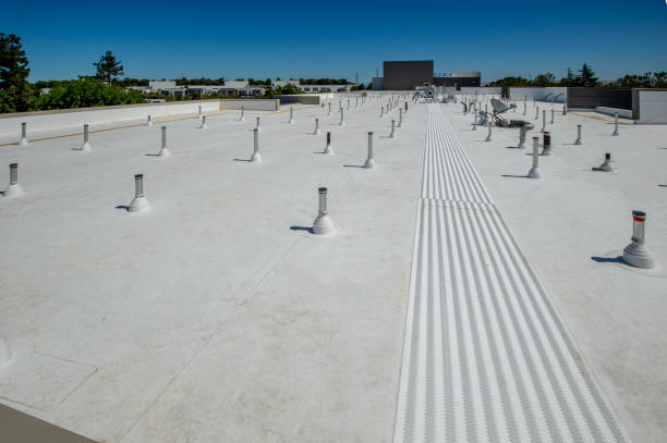 Best Roof Coating and Sealing  in Princeville, HI